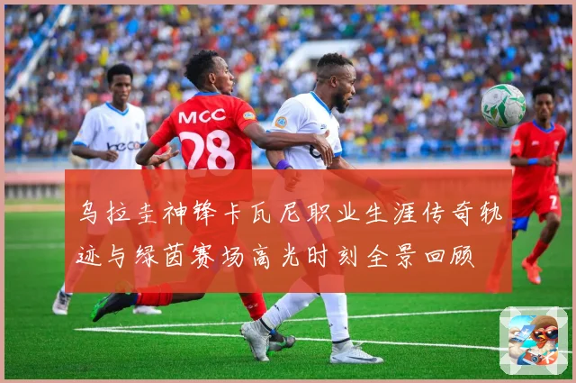 乌拉圭神锋卡瓦尼职业生涯传奇轨迹与绿茵赛场高光时刻全景回顾