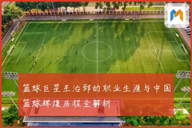 篮球巨星王治郅的职业生涯与中国篮球辉煌历程全解析