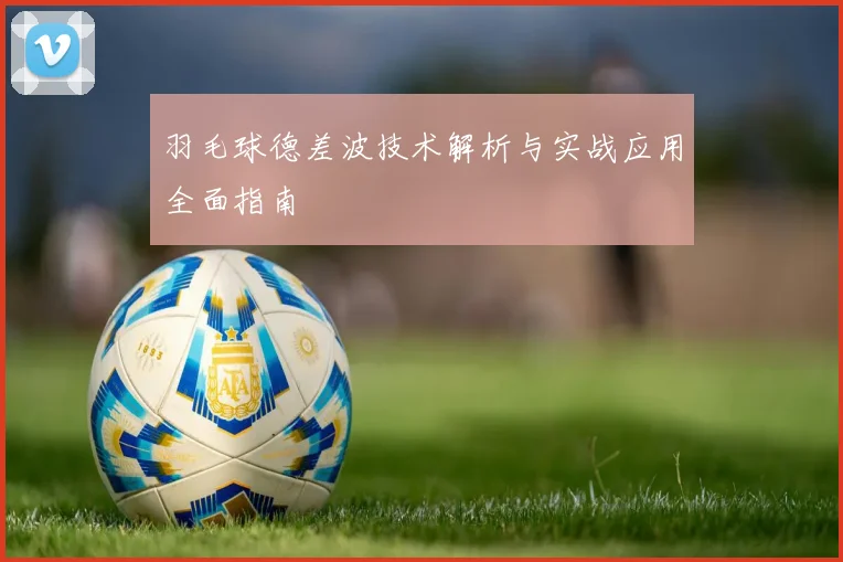 羽毛球德差波技术解析与实战应用全面指南