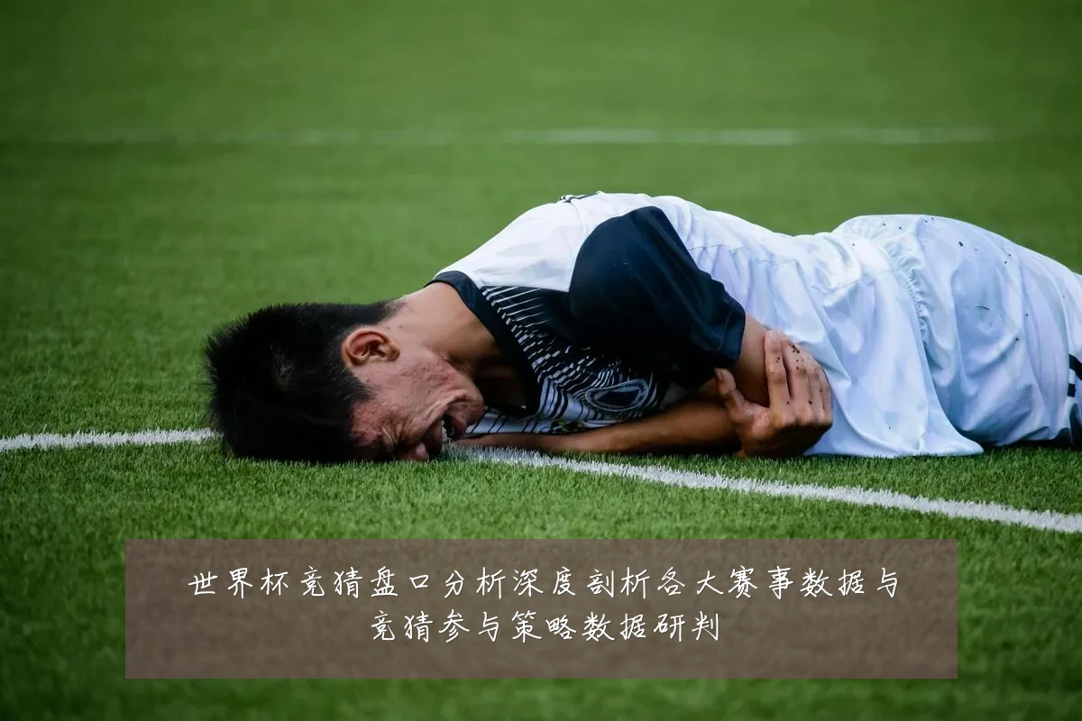 世界杯竞猜盘口分析深度剖析各大赛事数据与竞猜参与策略数据研判