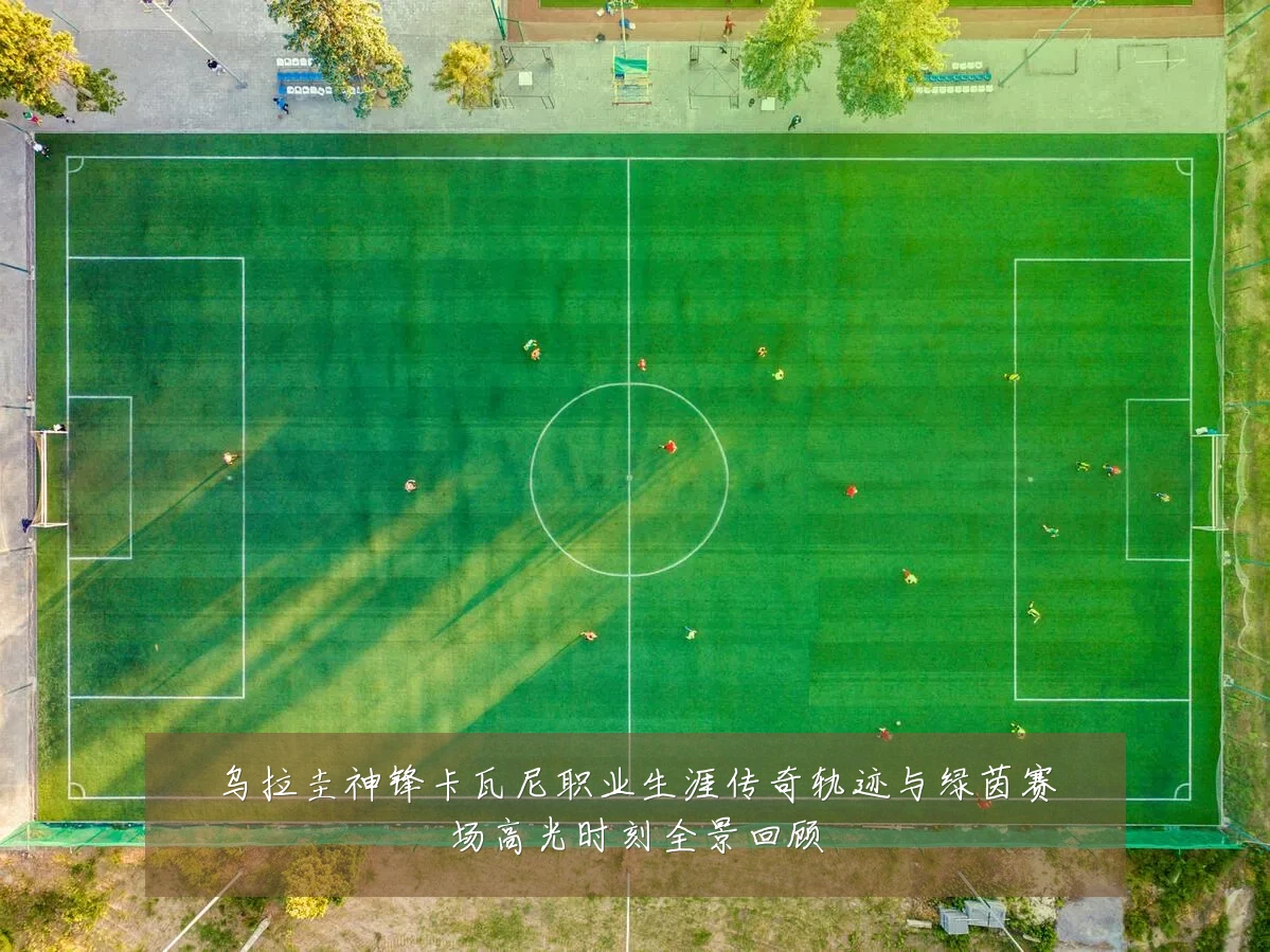 乌拉圭神锋卡瓦尼职业生涯传奇轨迹与绿茵赛场高光时刻全景回顾